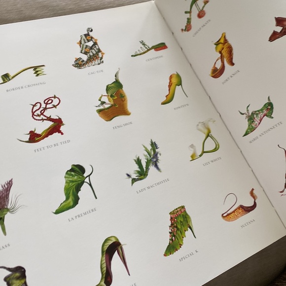 Shoe Fleur a Footwear Fantasy Book by Michel Tcherebkoff - Picture 15 of 16